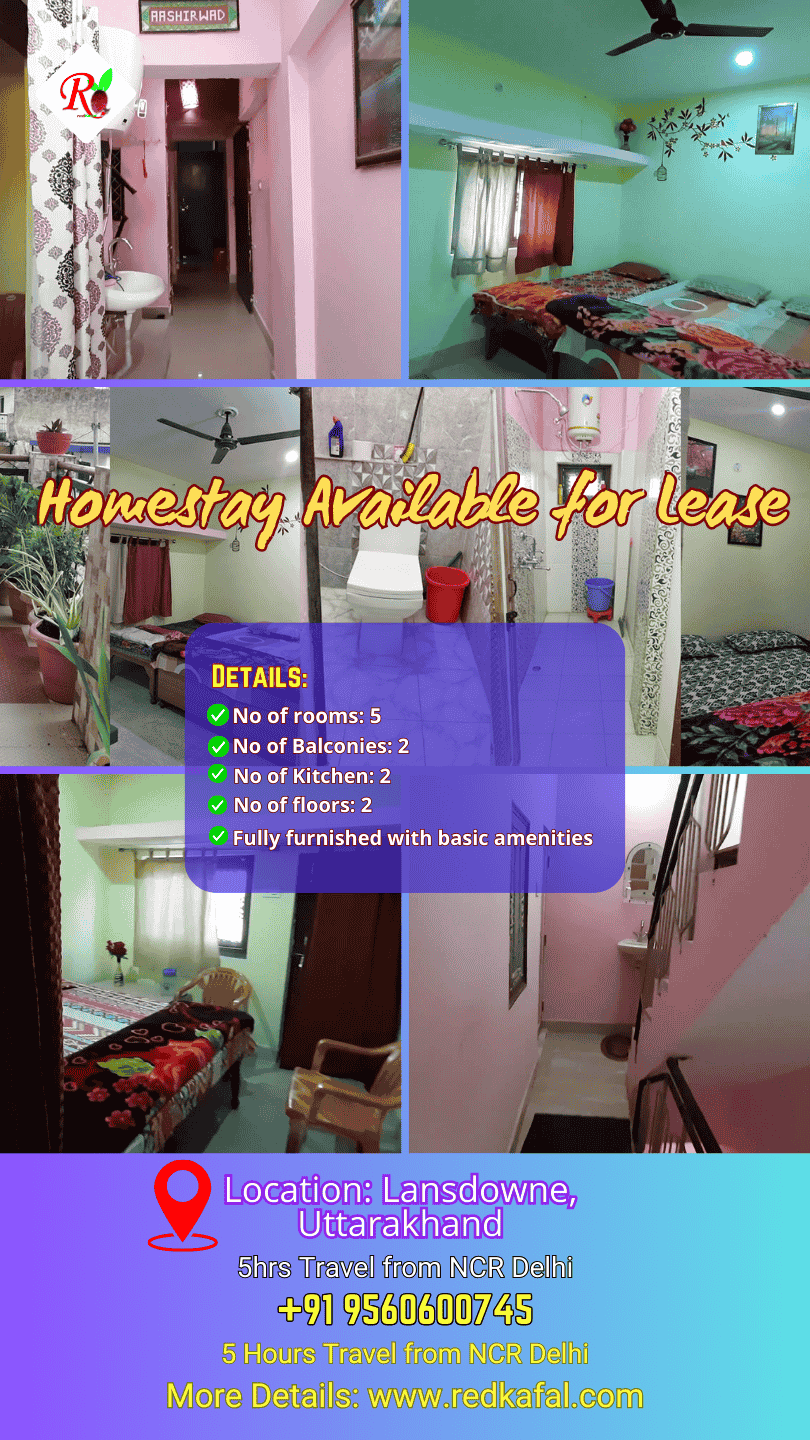 Lotus Valley International School, Noida Vice Principal